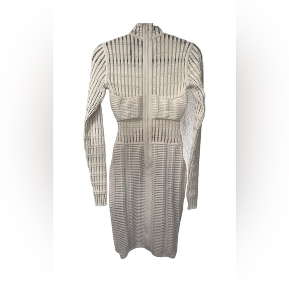 Herve Leger white Shadow
Stripe Dress - Picture 8 of 9